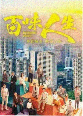 雾港晨光剧集封面